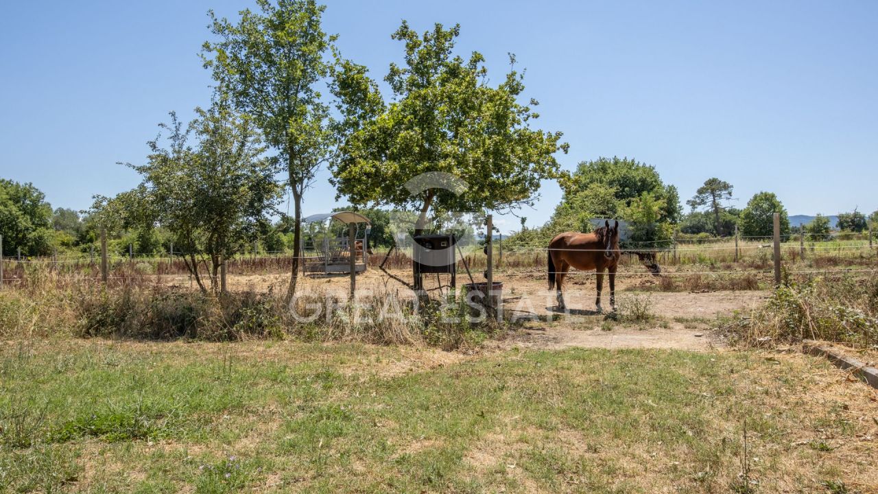 Дом в Кастильоне-дель-Лаго, Италия, 258.55 м² - фото 6