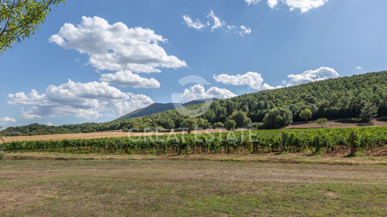 Дом в Четоне, Италия, 487.75 м² - фото 18