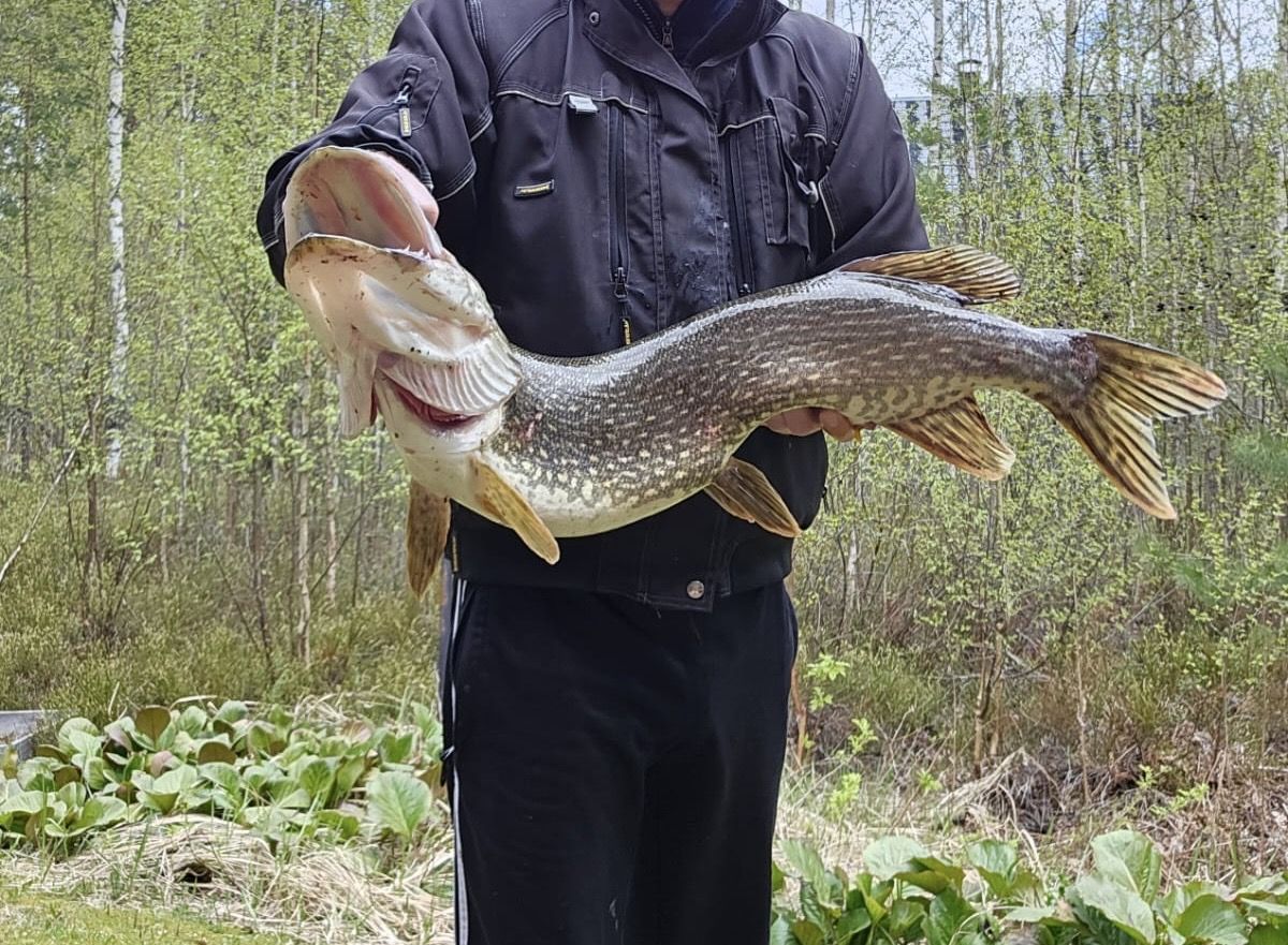 Земля в Мунапиртти, Финляндия, 15 000 сот. - фото 8