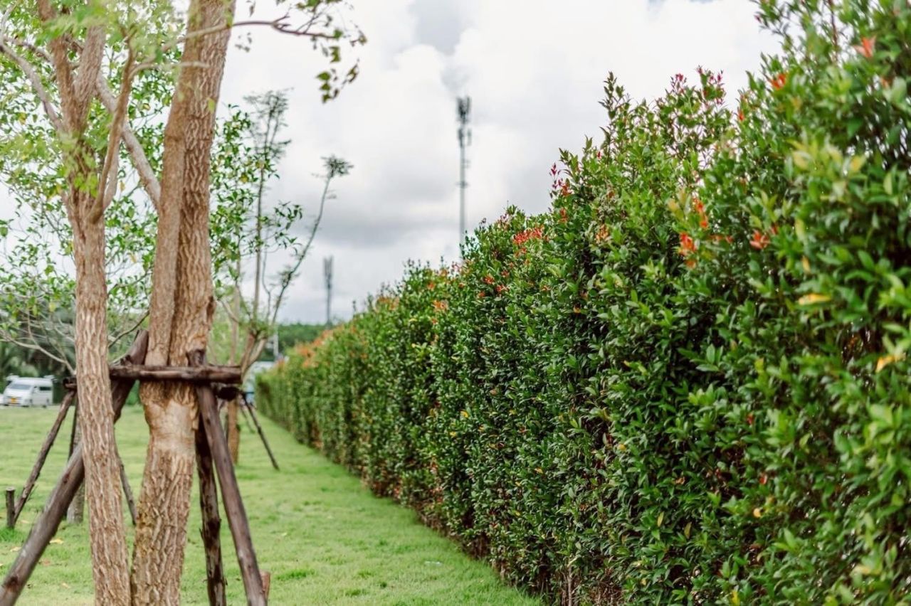 Вилла в Тхаланге, Таиланд, 307 м² - фото 17