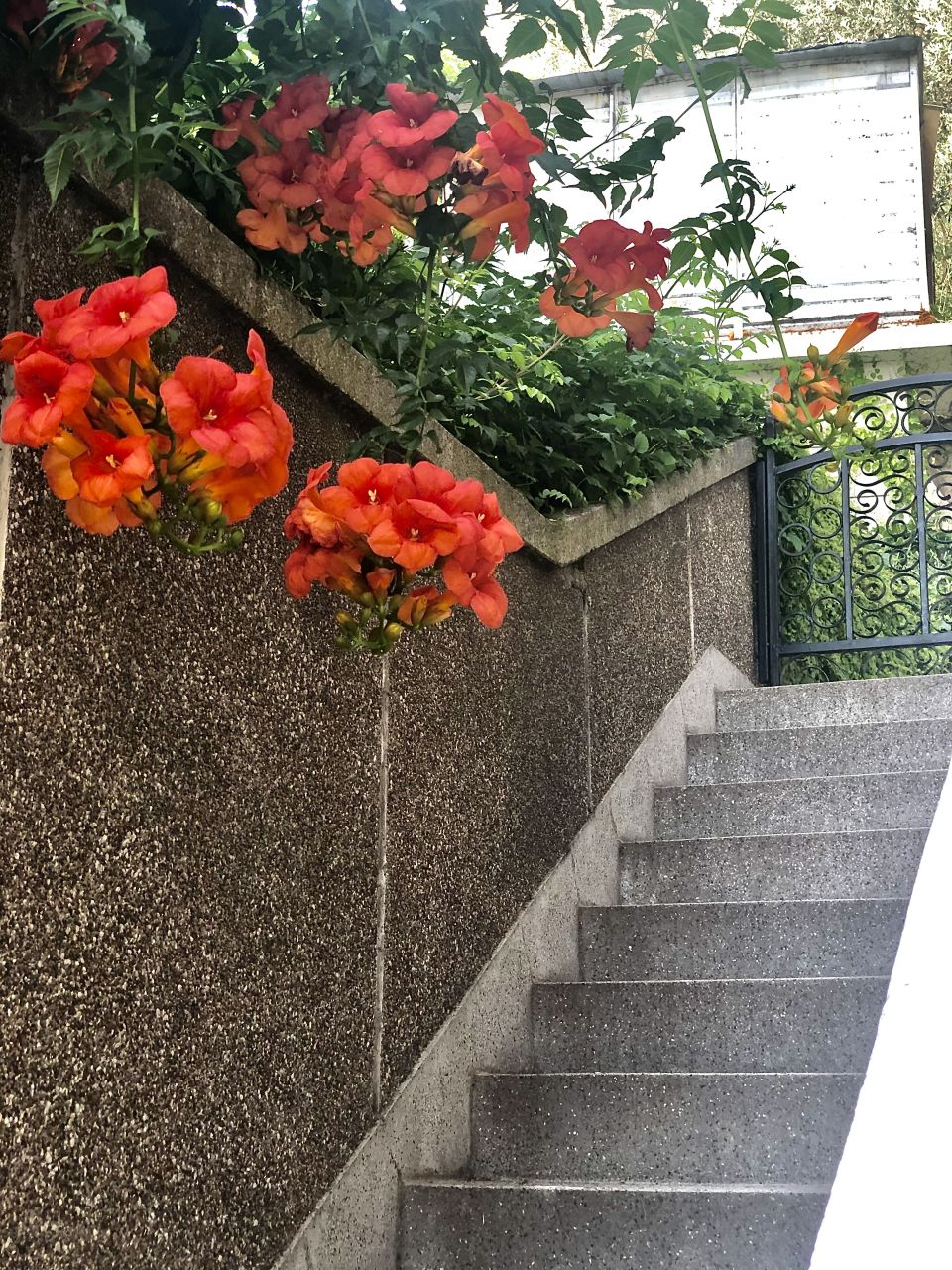 Квартира в Петроваце, Черногория, 46 м² - фото 2