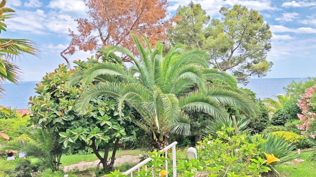 Квартира в Пальма-де-Майорке, Испания, 70 м² - фото 10