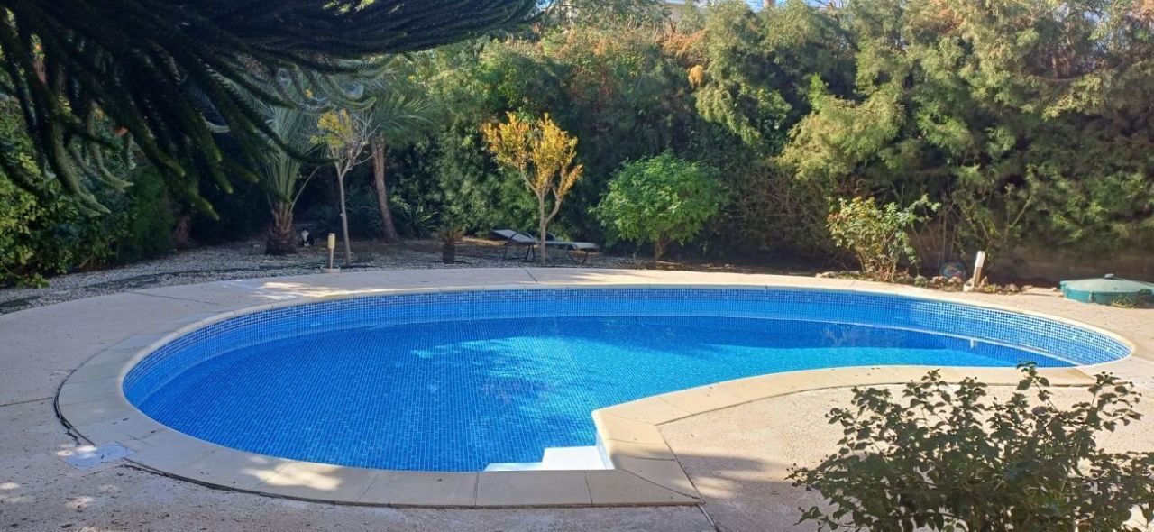 Вилла в Хлораке, Кипр, 120 м² - фото 4