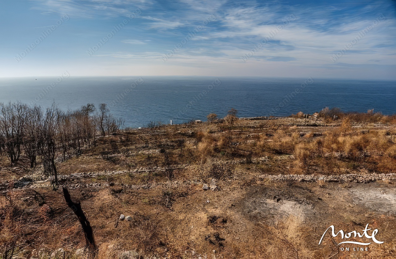 Земля в Режевичах, Черногория, 1 000 м² - фото 2