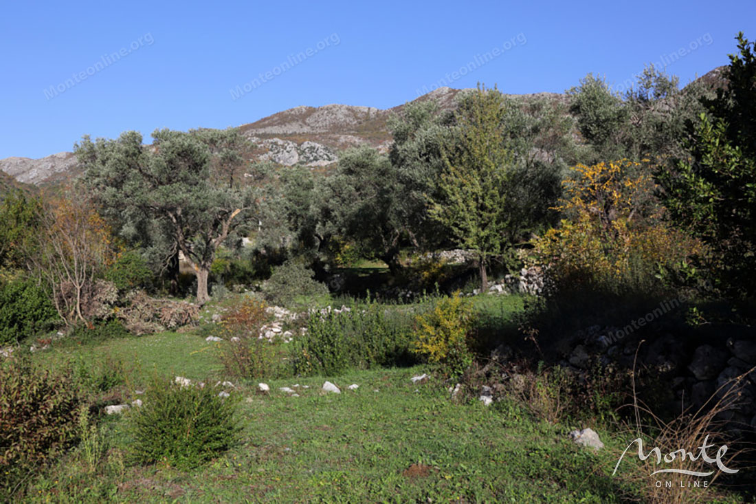 Земля в Булярице, Черногория, 3 240 м² - фото 3