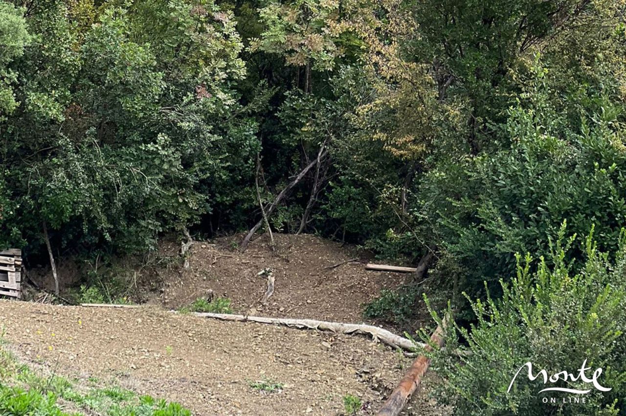 Земля в Тивате, Черногория, 1 219 м² - фото 3