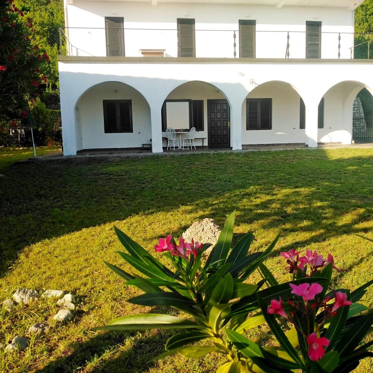 Отель, гостиница в Петроваце, Черногория, 480 м² - фото 4