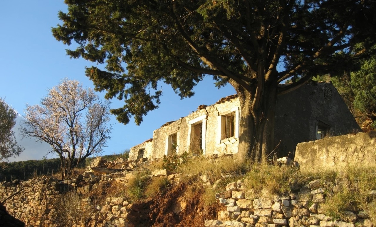 Земля в Будве, Черногория, 11 246 м² - фото 4