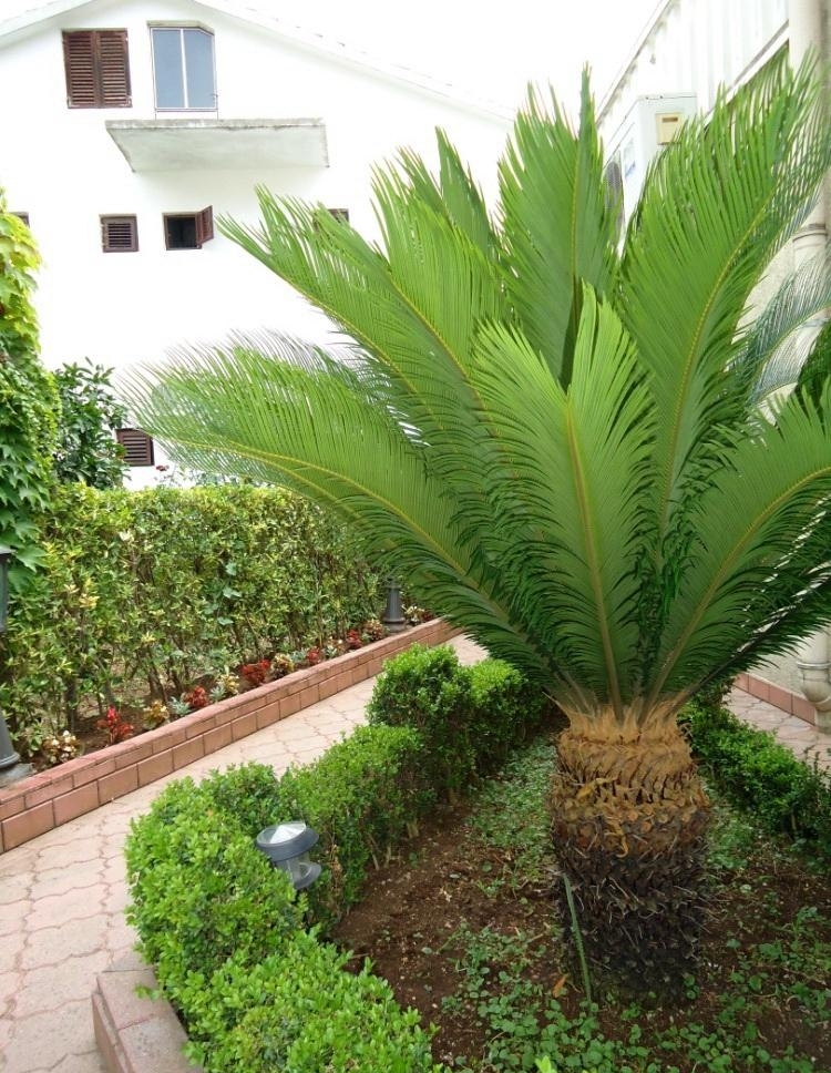 Вилла в Будве, Черногория, 400 м² - фото 5