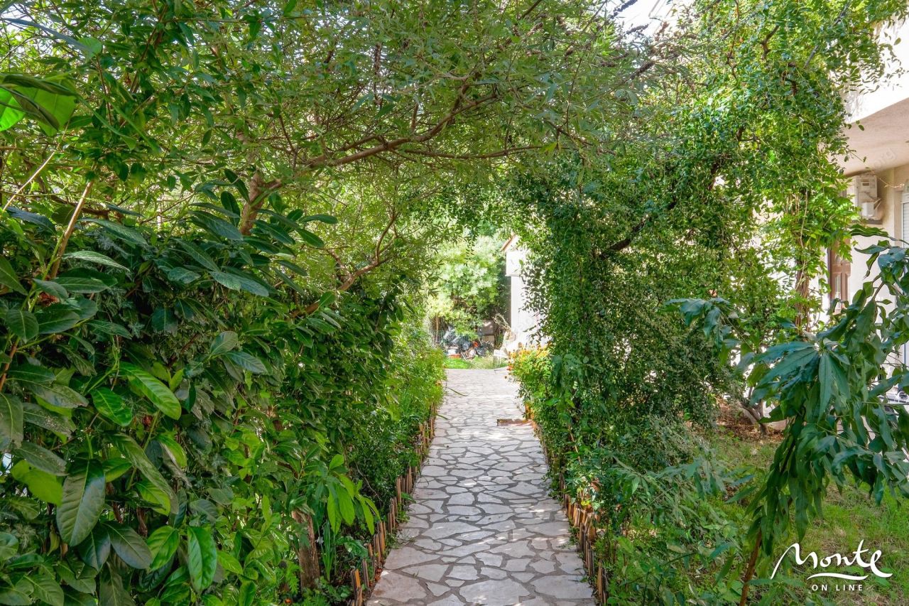 Отель, гостиница в Будве, Черногория, 537 м² - фото 5