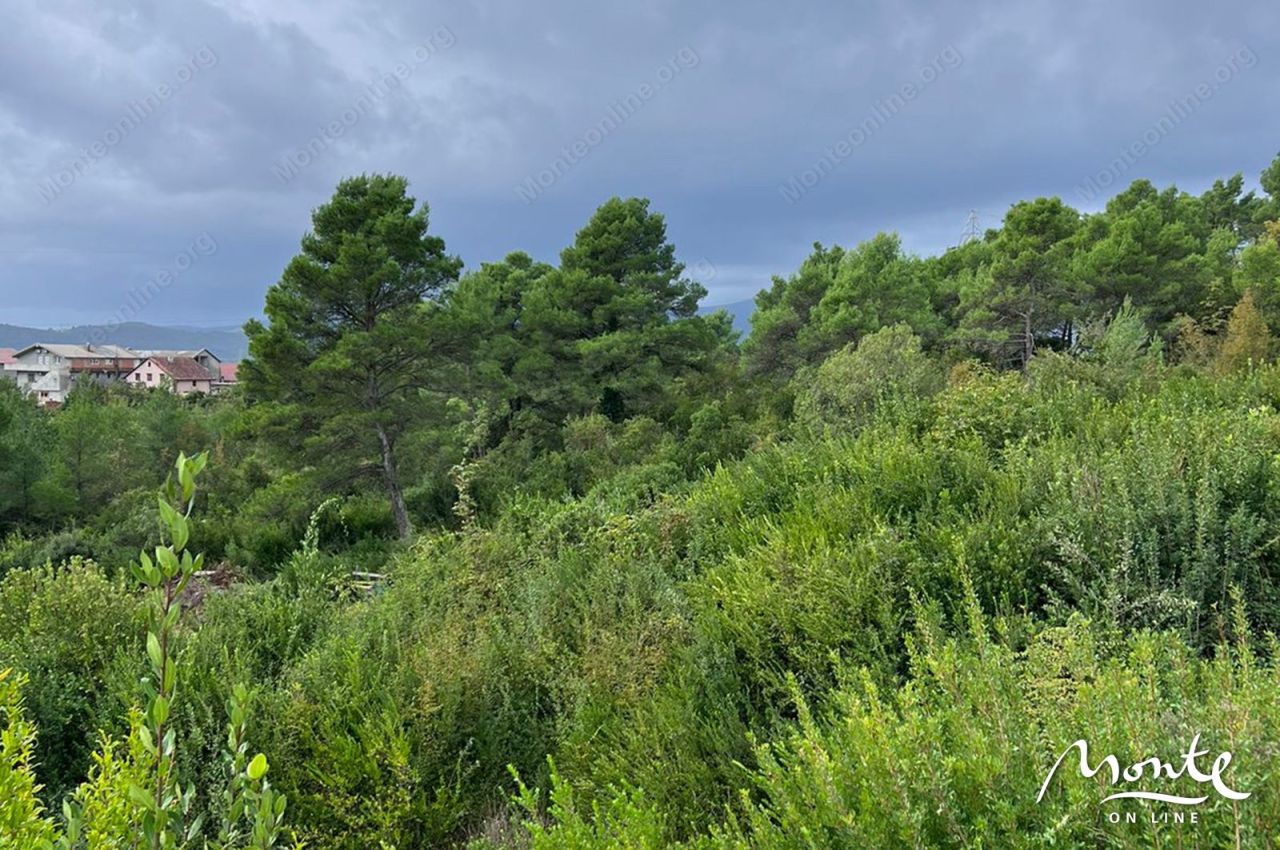 Земля в Тивате, Черногория, 1 219 м² - фото 7