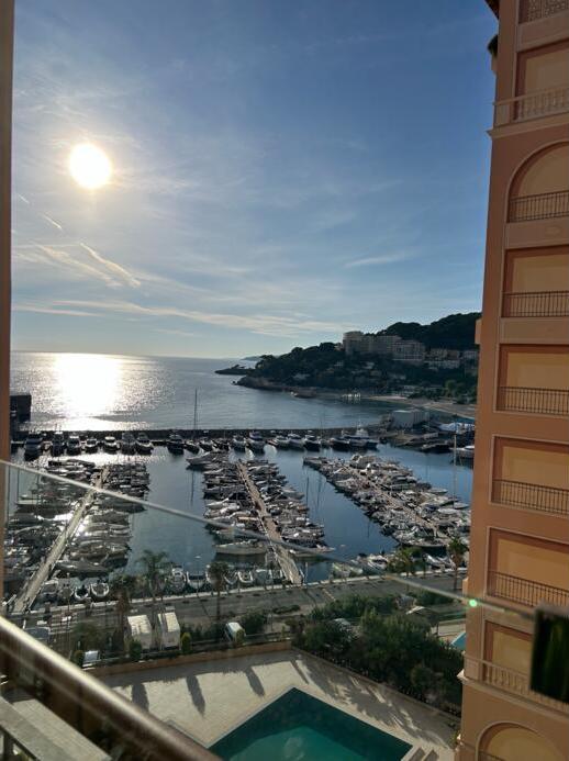 Апартаменты в Фонвьее, Монако, 514 м² - фото 2