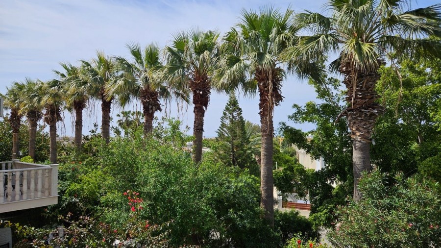 Вилла в Пафосе, Кипр, 151 м² - фото 2