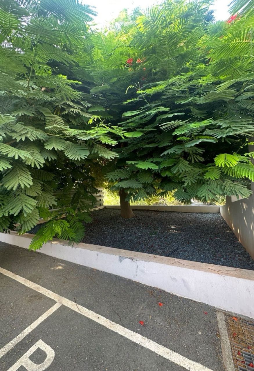 Апартаменты в Мутайяке, Кипр - фото 17