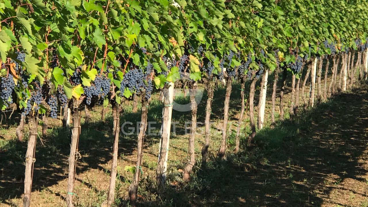 Дом в Монтефалько, Италия, 581.75 м² - фото 16