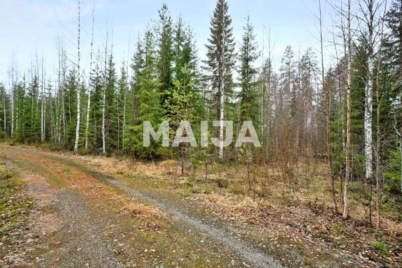 Земля в Савонлинне, Финляндия, 10 000 м² - фото 1