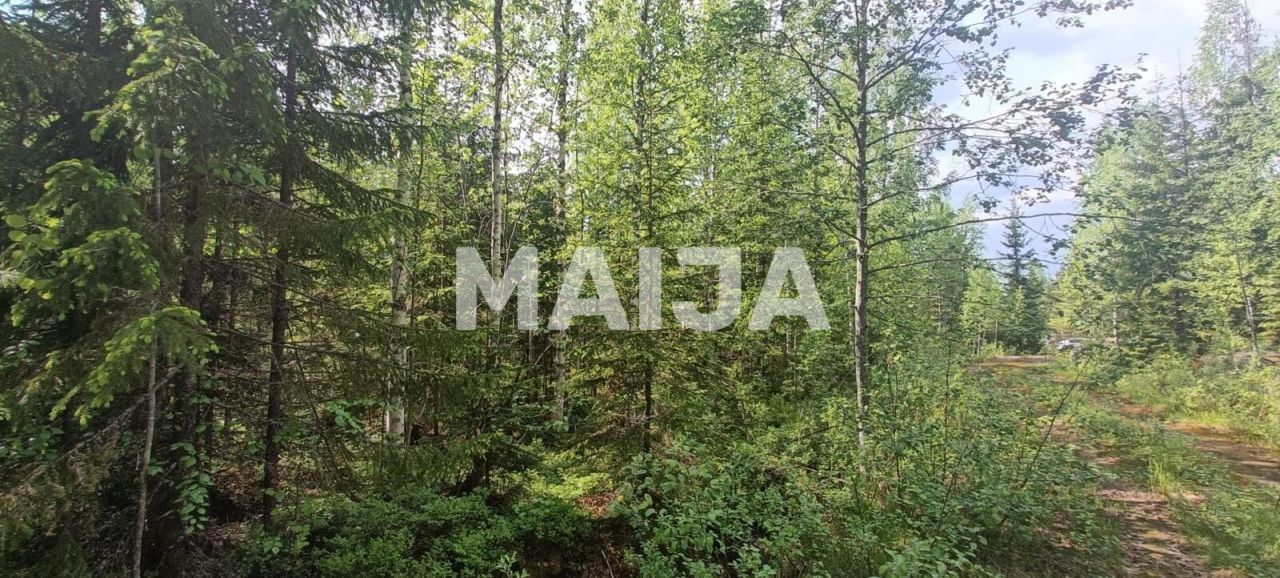 Земля в Савонлинне, Финляндия, 10 000 м² - фото 11