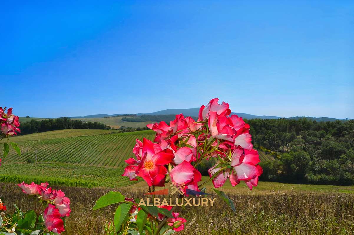 Апартаменты в Кастеллина-ин-Кьянти, Италия, 1 600 м² - фото 13