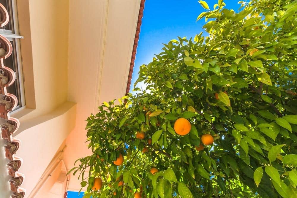 Мезонет в Аттике, Греция, 667 м² - фото 7