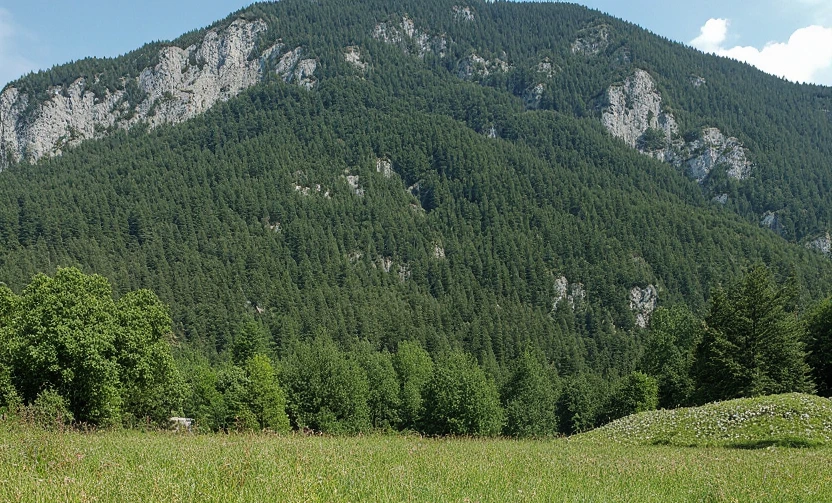 Земля в Любляне, Словения, 2 830 м² - фото 1