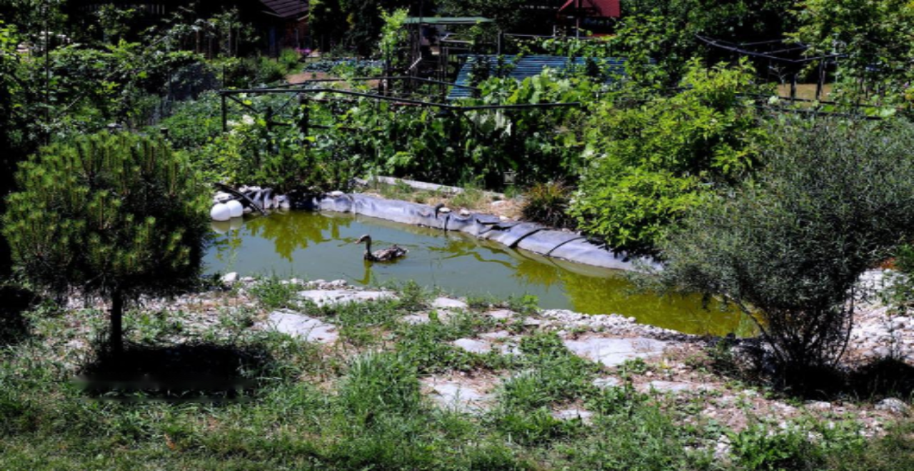 Дом в Жировнице, Словения, 300 м² - фото 2