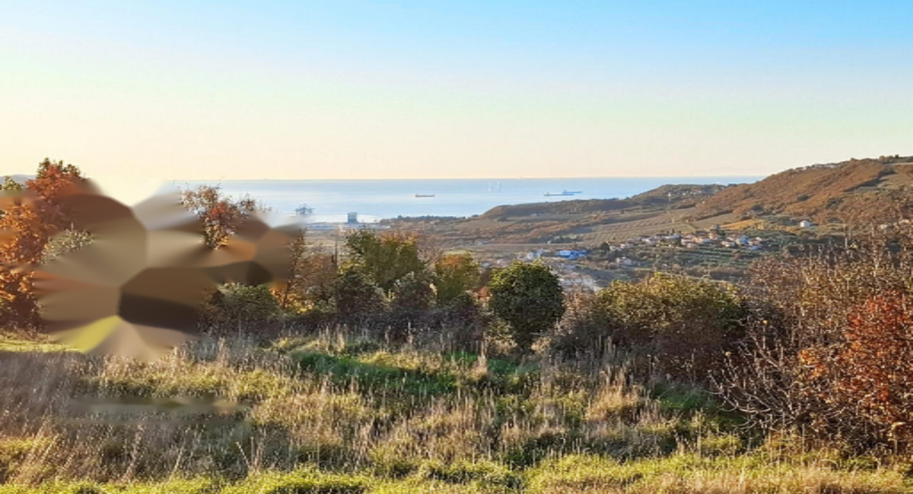 Дом в Копере, Словения, 274 м² - фото 2