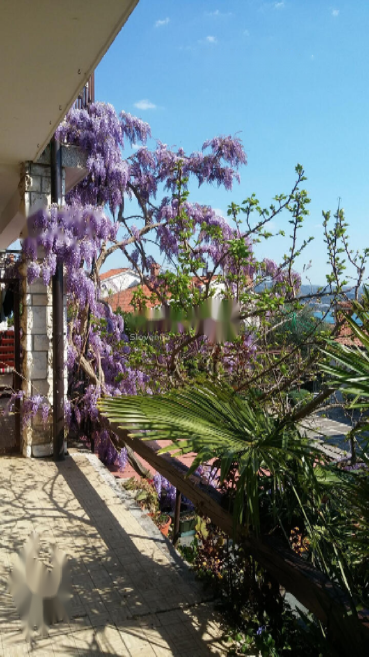 Дом в Портороже, Словения, 297 м² - фото 2