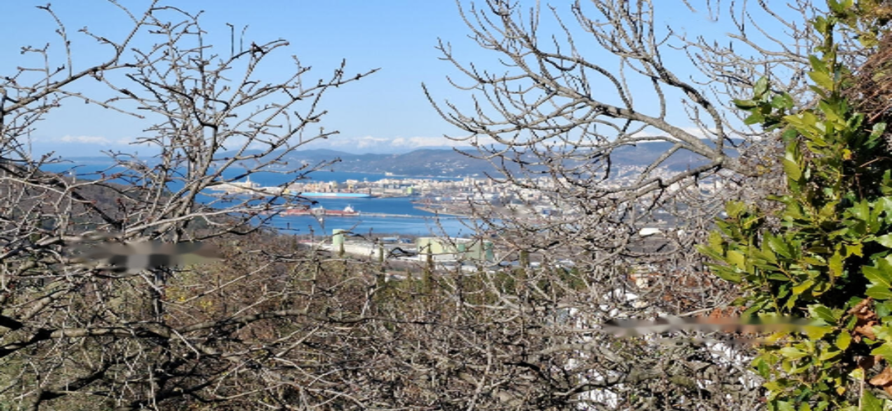 Дом в Копере, Словения, 274 м² - фото 3