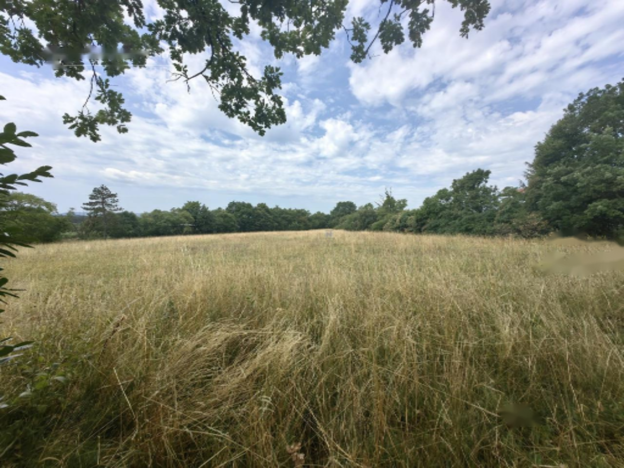 Дом в Мирен-Костаньевице, Словения, 6 423 м² - фото 4