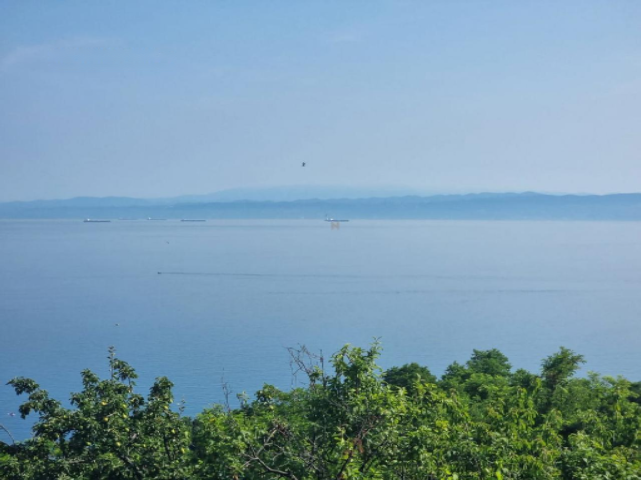 Дом в Изоле, Словения, 454 м² - фото 4