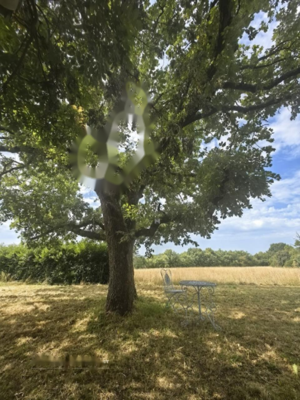 Дом в Мирен-Костаньевице, Словения, 6 423 м² - фото 6