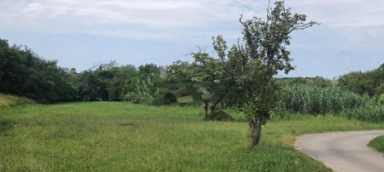 Дом в Луции, Словения, 12 675 м² - фото 6