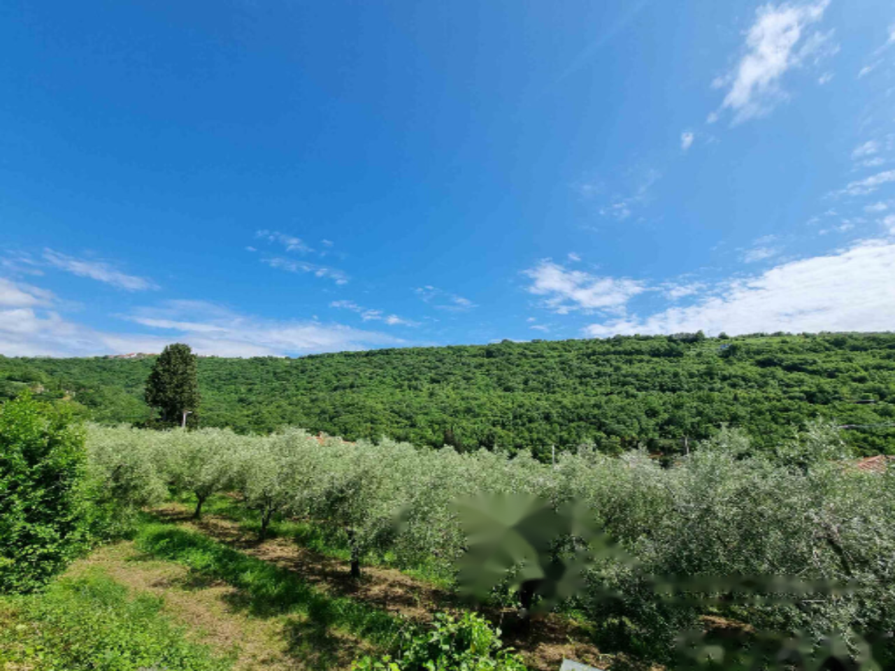 Дом в Луции, Словения, 239 м² - фото 7