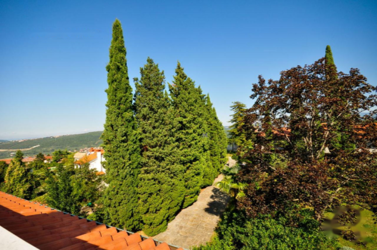 Дом в Изоле, Словения, 753 м² - фото 7