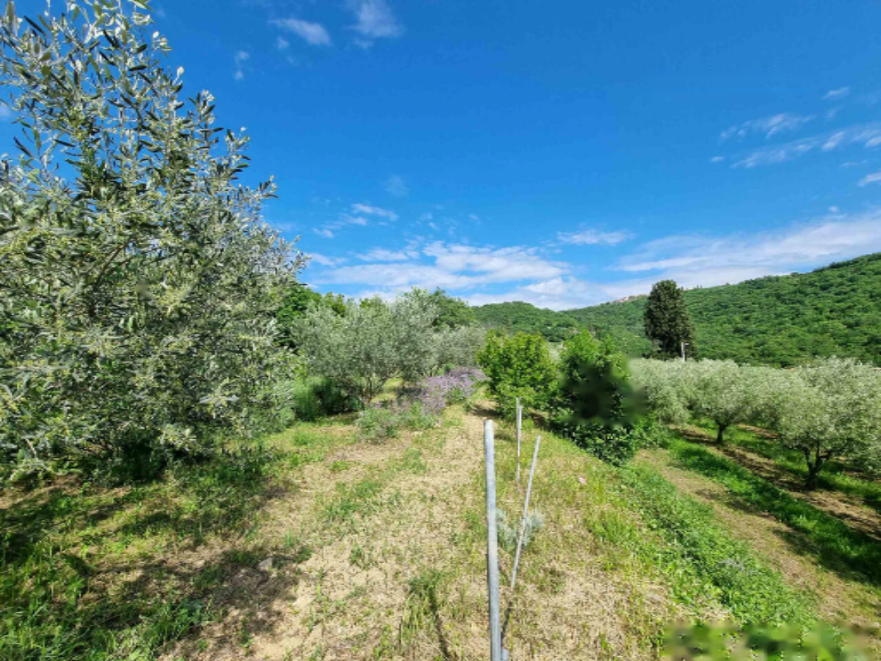 Дом в Луции, Словения, 239 м² - фото 8