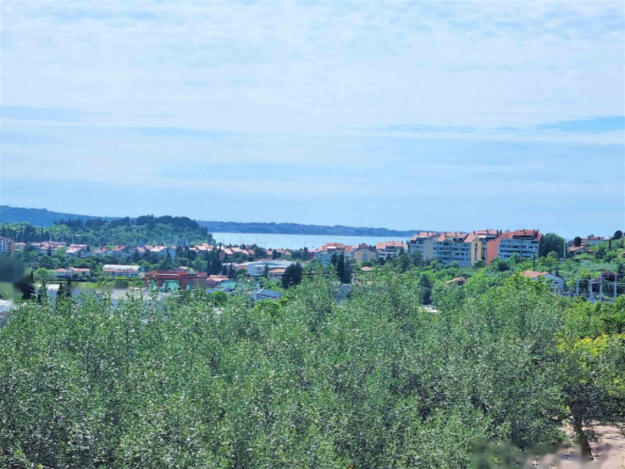 Дом в Луции, Словения, 239 м² - фото 10