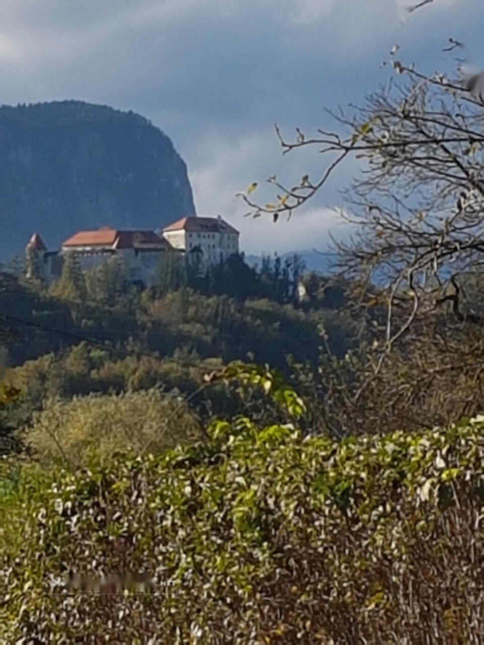 Дом в Бледе, Словения, 240 м² - фото 11