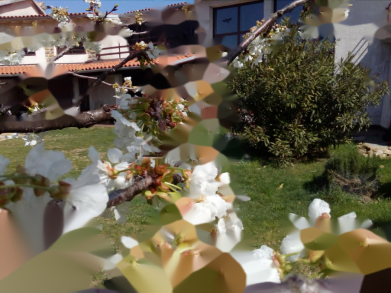 Дом в Копере, Словения, 417 м² - фото 11