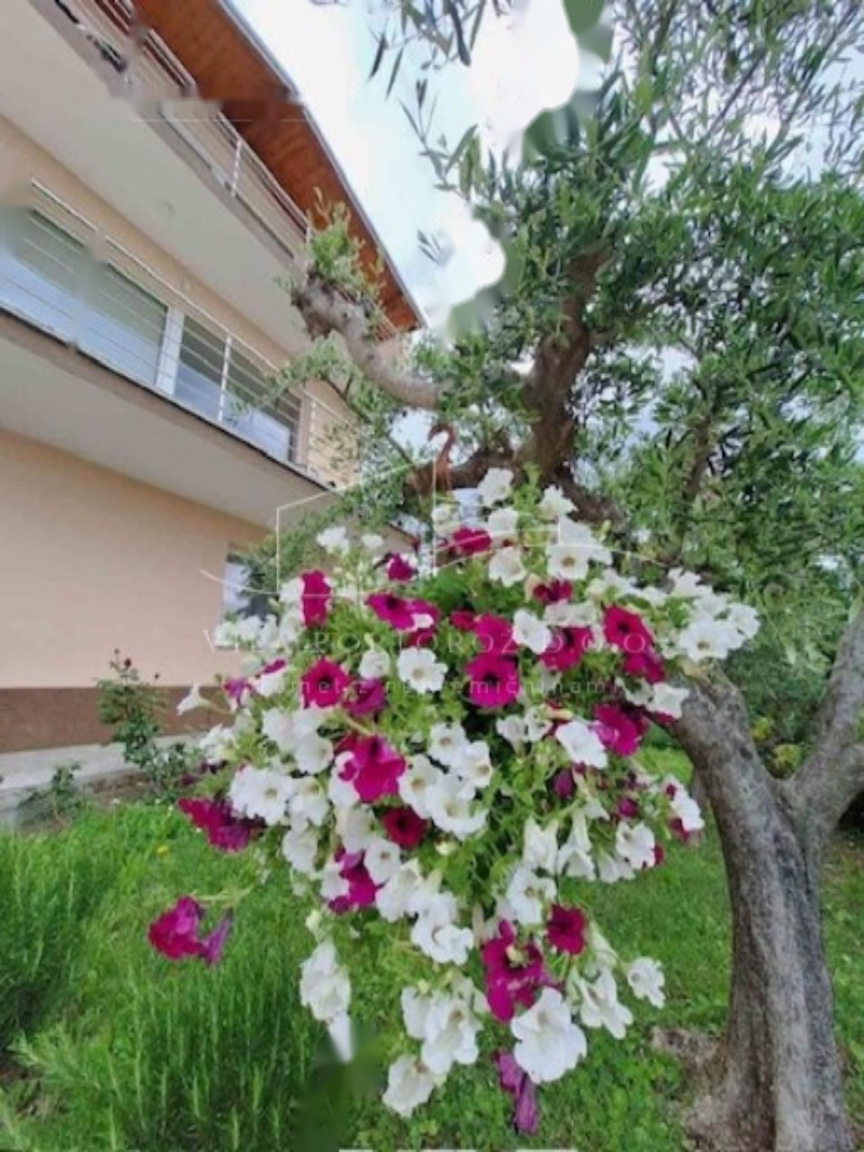 Дом в Портороже, Словения, 270 м² - фото 15