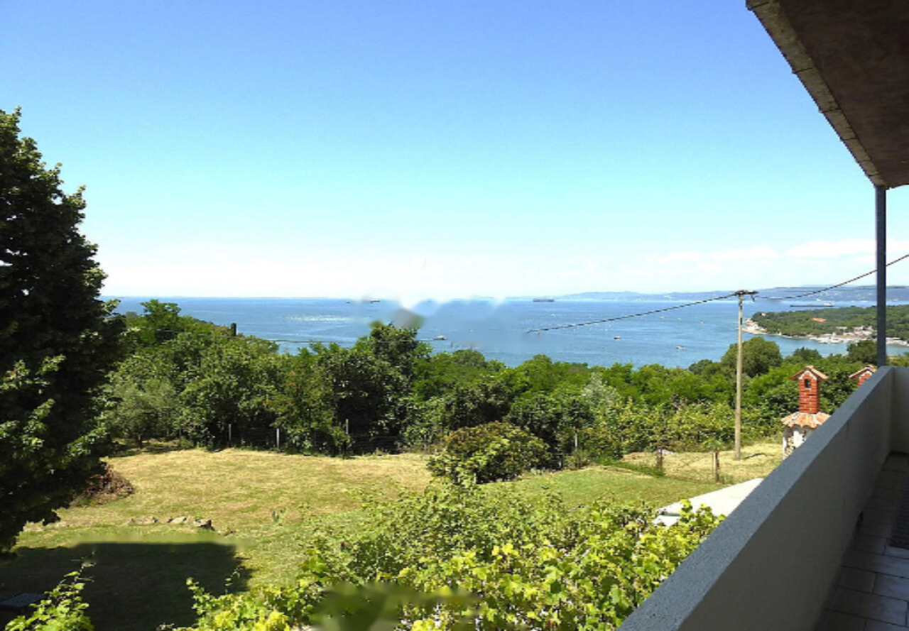 Дом в Анкаране, Словения, 314 м² - фото 19