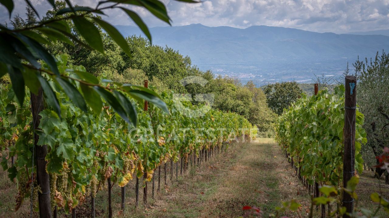 Дом в Кьянти, Италия, 451.25 м² - фото 17