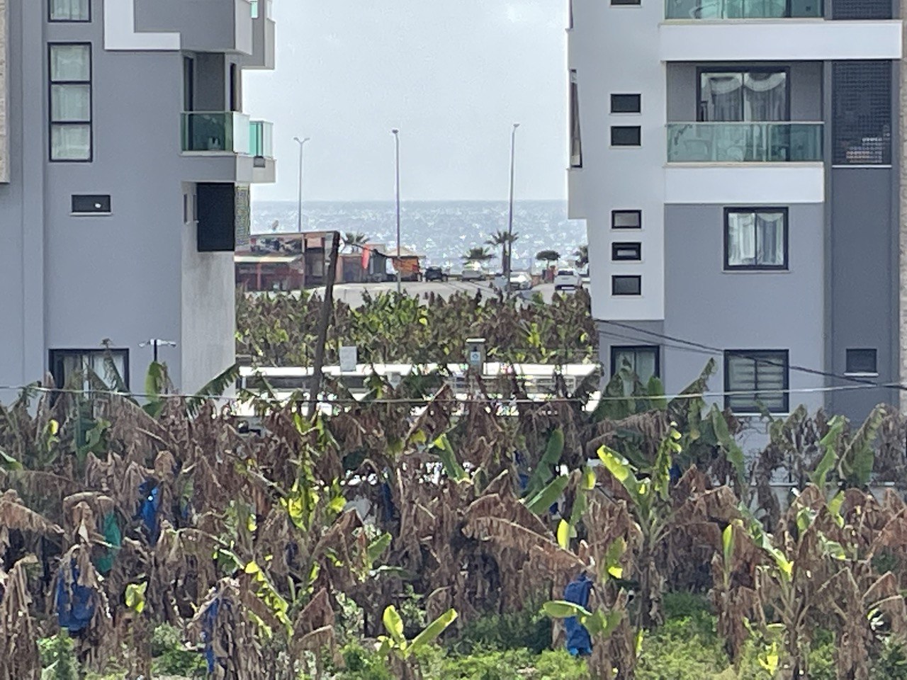 Апартаменты в Алании, Турция, 50 м² - фото 7