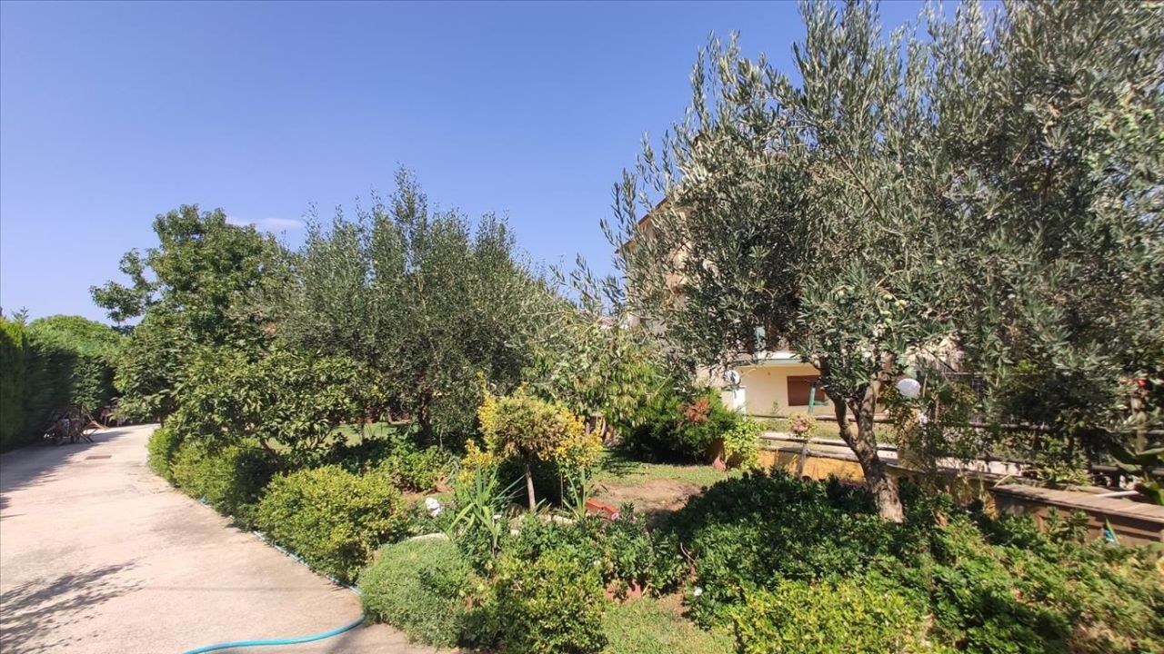 Дом в Ситонии, Греция, 90 м² - фото 3