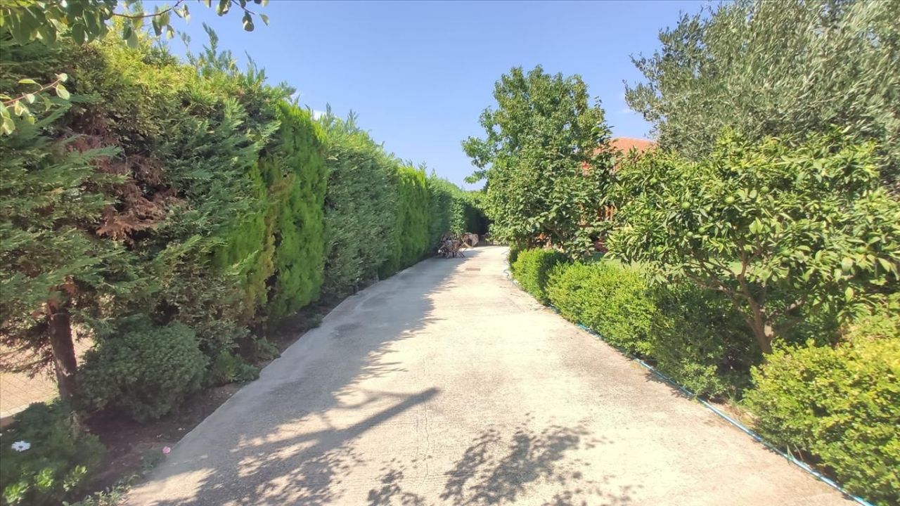 Дом в Ситонии, Греция, 90 м² - фото 5