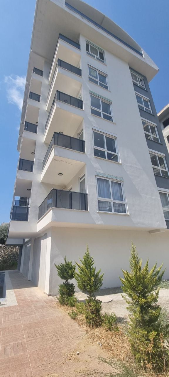 Квартира в Алании, Турция, 45 м² - фото 3