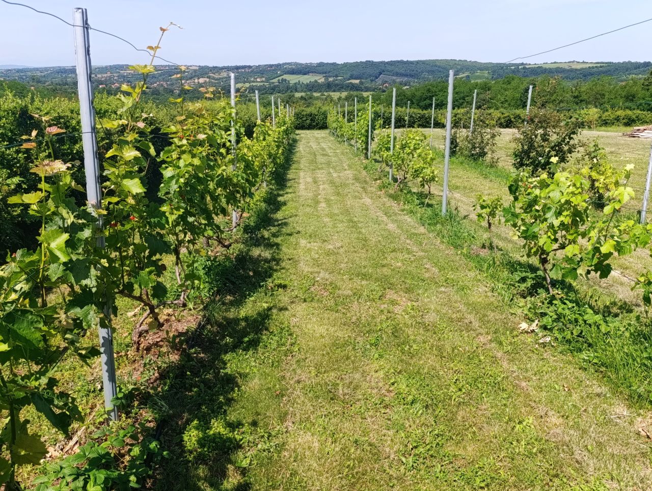 Вилла в Белграде, Сербия, 600 м² - фото 17