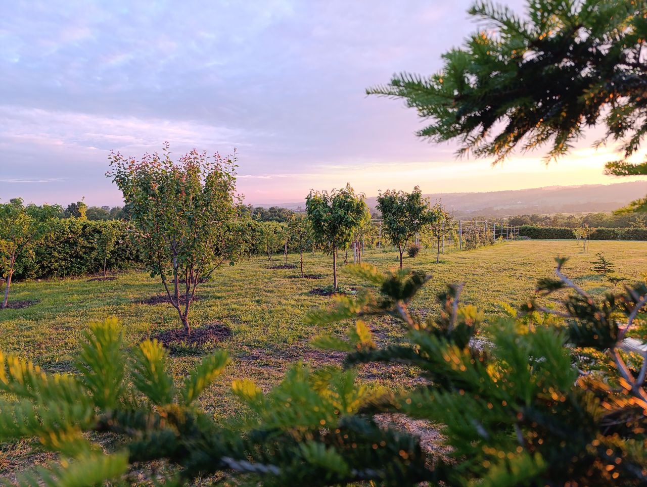 Вилла в Белграде, Сербия, 600 м² - фото 18