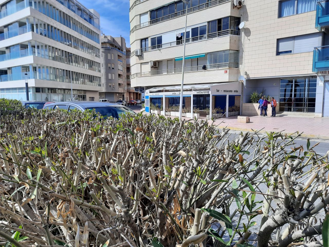 Кафе, ресторан в Торревьехе, Испания, 170 м² - фото 9