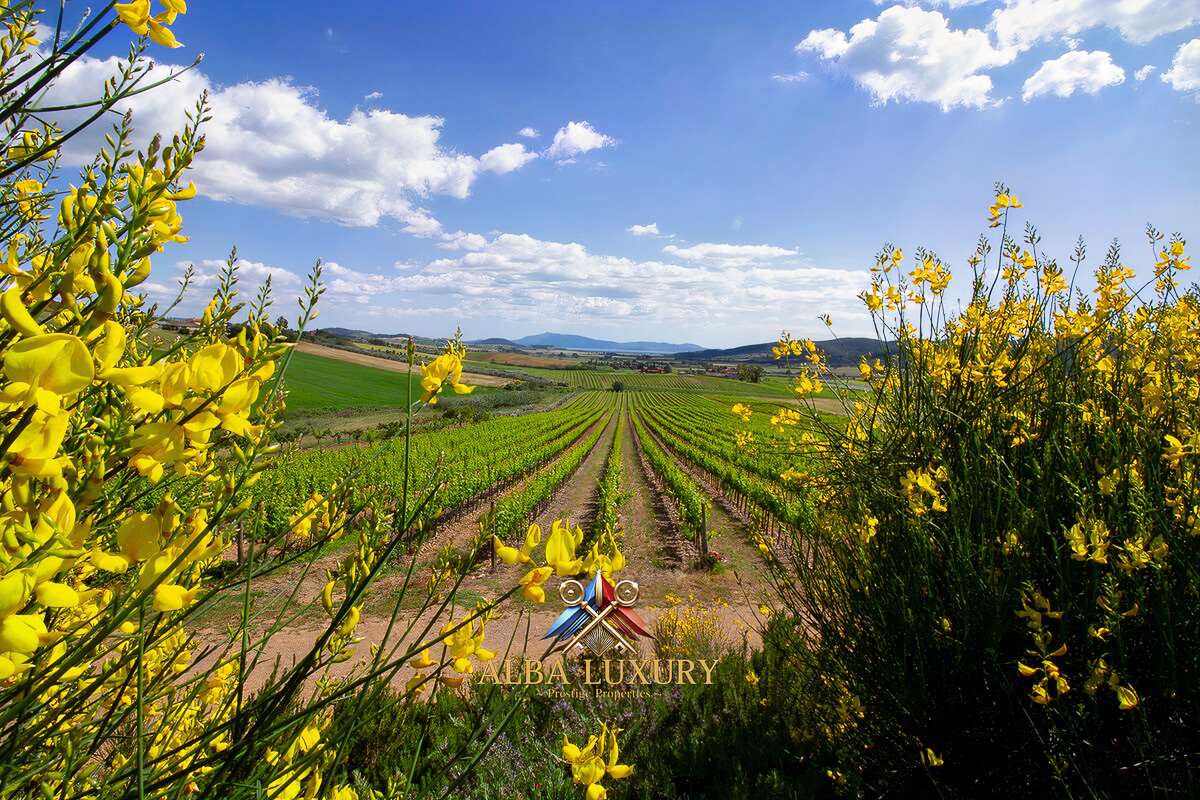 Вилла Strada Provinciale Montiano, Италия, 800 м² - фото 15