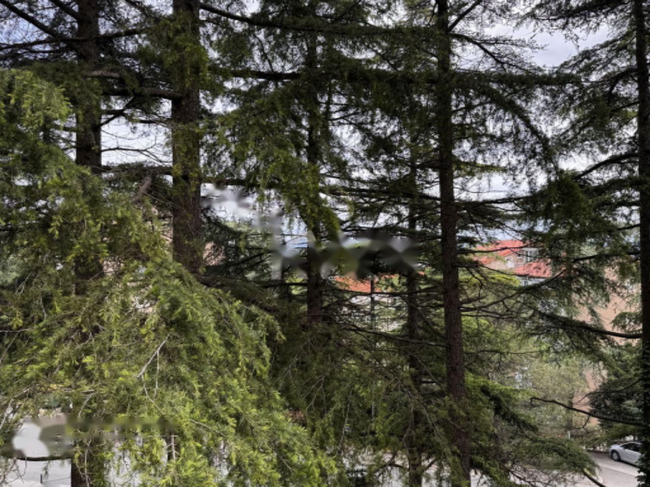 Квартира в Копере, Словения, 92 м² - фото 2